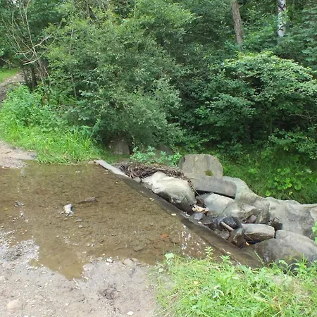 Prázdninový dům Lesny Las (Zywiec)