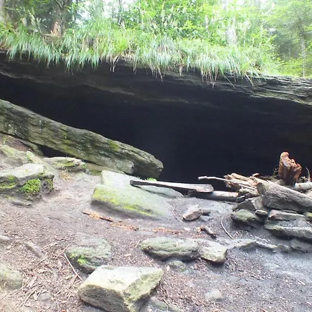 Lesny Prázdninový dům Las (Zywiec)