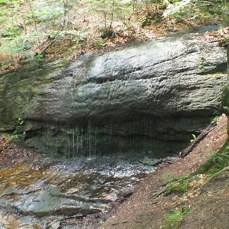 Lesny Prázdninový dům Las (Zywiec)