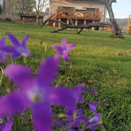 Lesny Prázdninový dům *