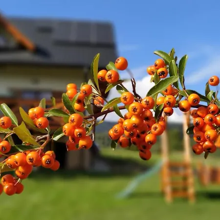 Lesny Prázdninový dům