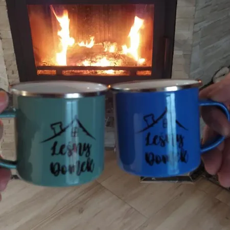 Lesny Prázdninový dům *