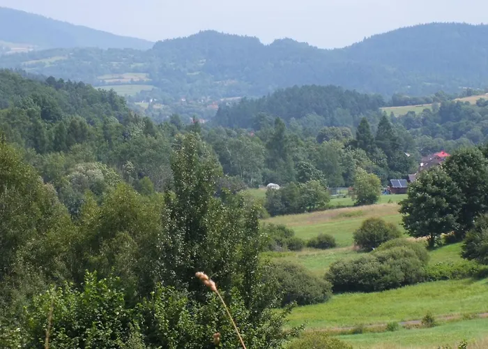 Dom wakacyjny Leśny *