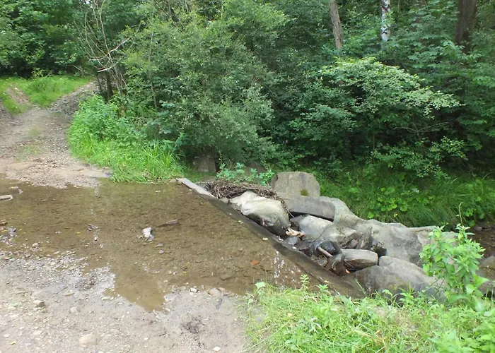 Dom wakacyjny Leśny Las (Zywiec)