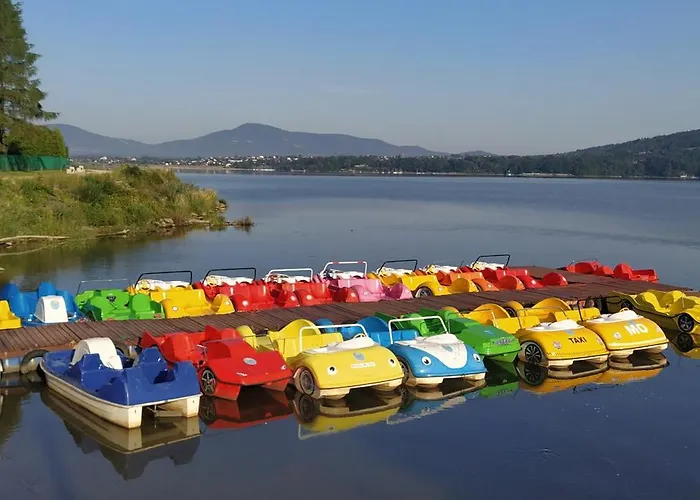 Leśny * Las (Zywiec)