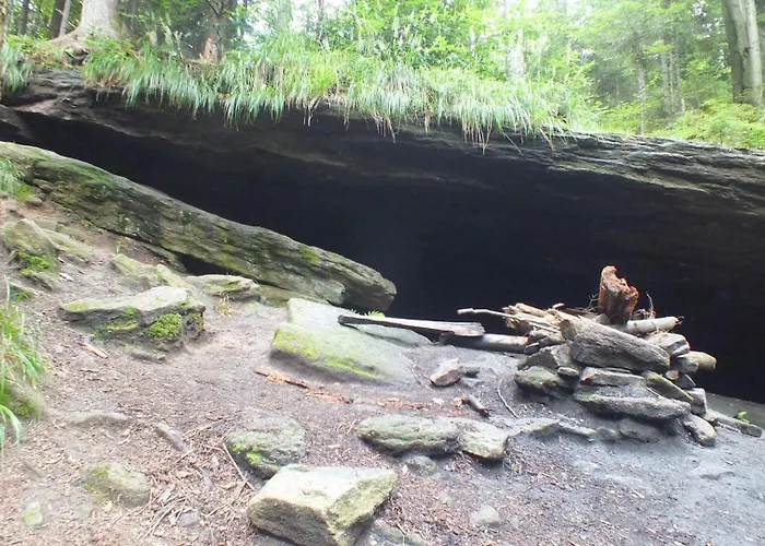 Leśny Dom wakacyjny Las (Zywiec)
