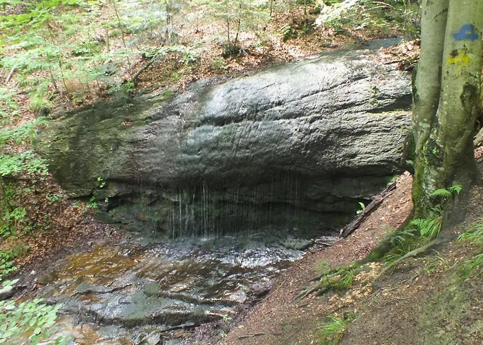 Leśny Dom wakacyjny Las (Zywiec)