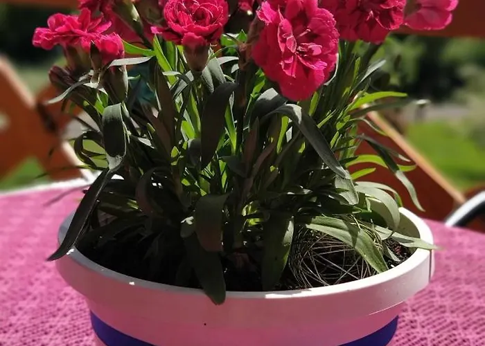 Dom wakacyjny Leśny