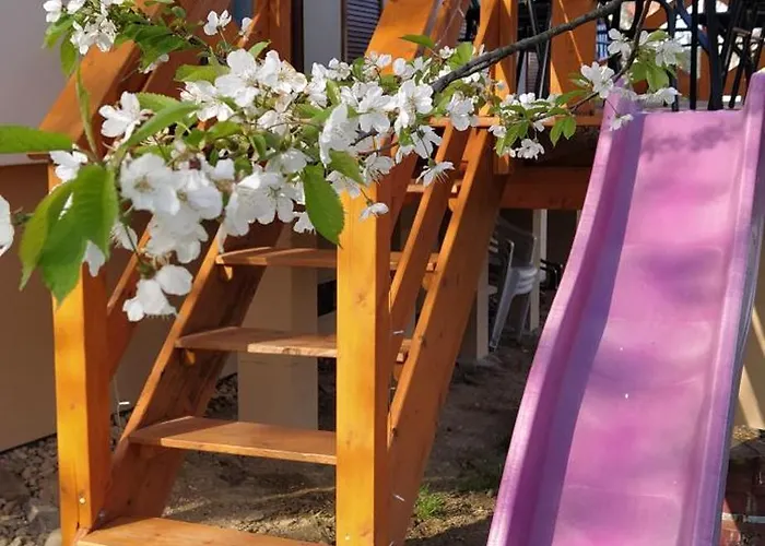 Leśny Dom wakacyjny Las (Zywiec)