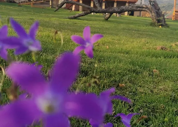 Leśny Dom wakacyjny *