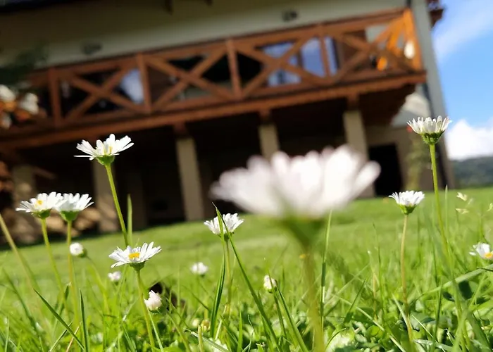 Leśny * Las (Zywiec)