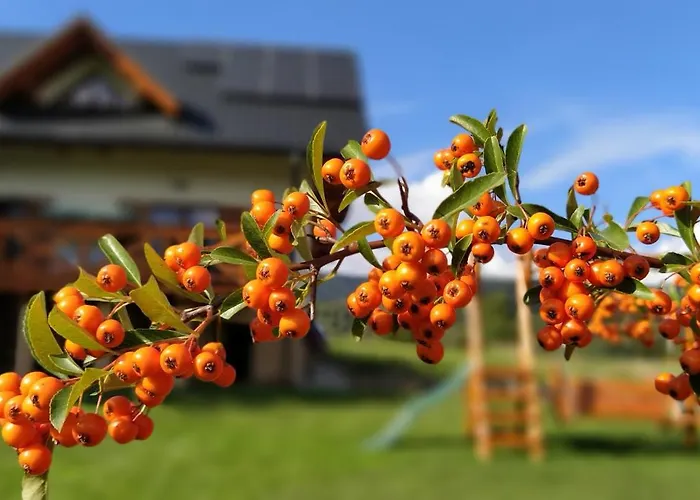 Leśny Dom wakacyjny