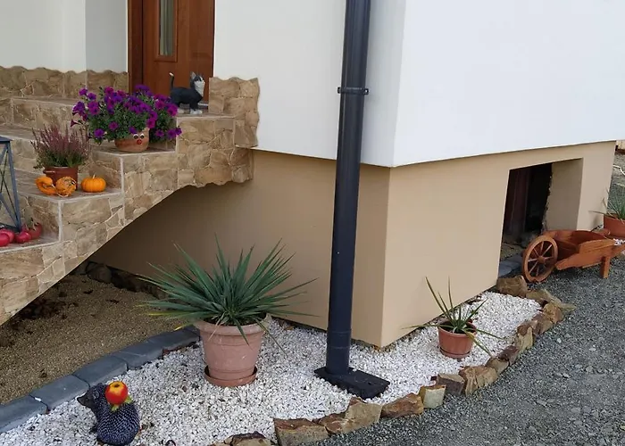 Dom wakacyjny Leśny Las (Zywiec)