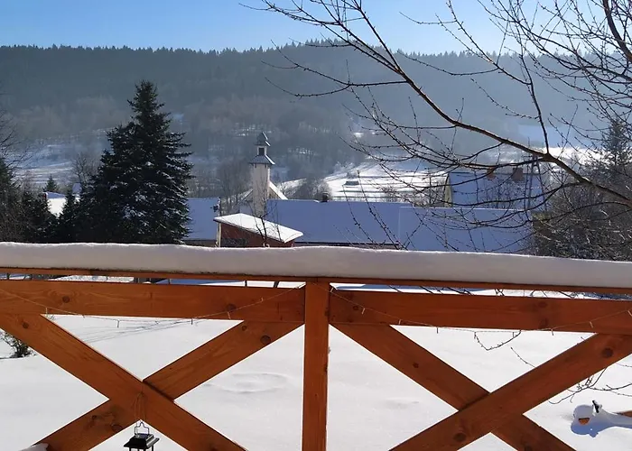 Dom wakacyjny Leśny *